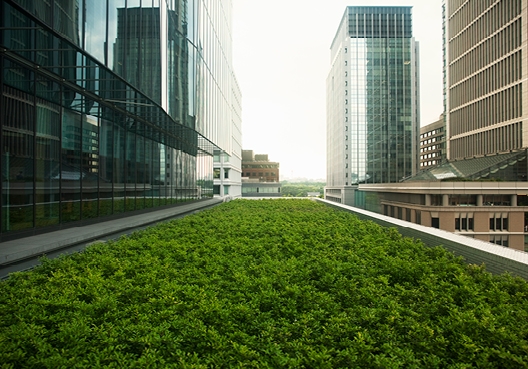 Windturbines in a field