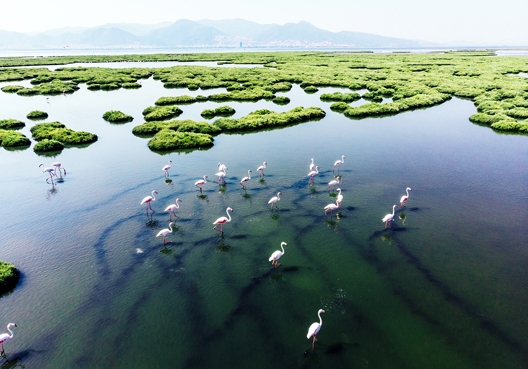 Stewardship Services