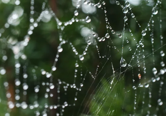 Responsible Investing