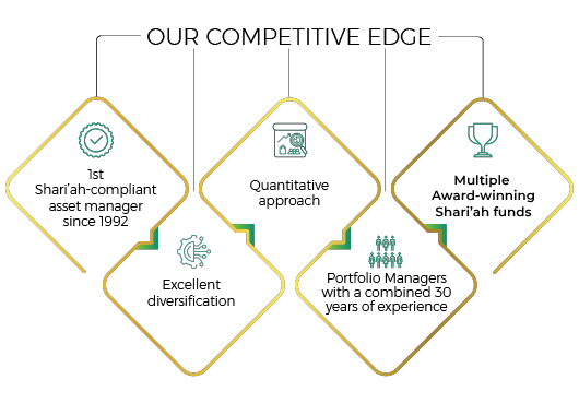 Mini infographic displaying points why we have a competitive edge