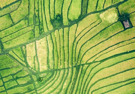 Policies & Guidelines